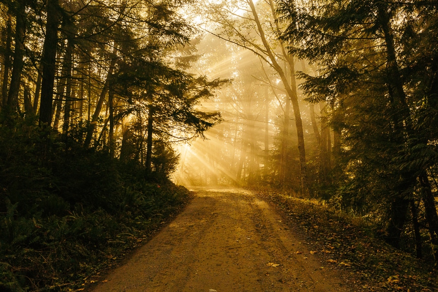 Cinematic photo of a man in dramatic lighting walking through a moody,