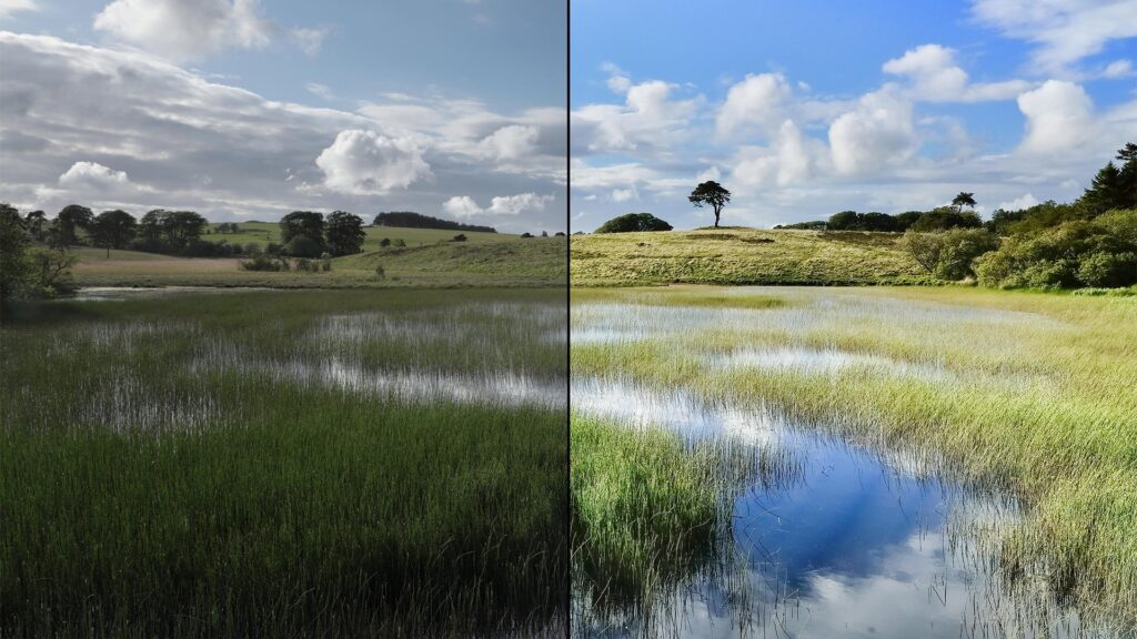 Shoot in RAW: 7 Powerful Reasons to Edit Like a Pro